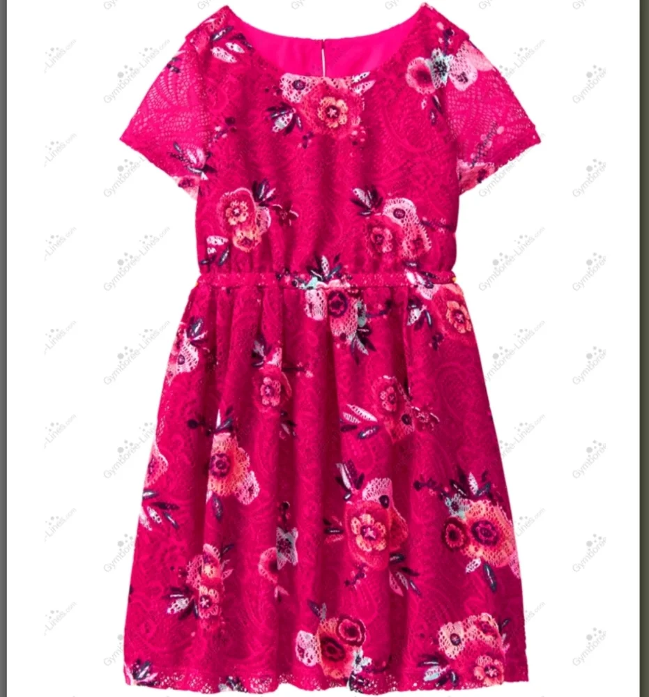 Gymboree Floral Lace Dress